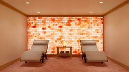 Salt room rendering - 150 sq ft, full salt wall