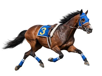 Salt therapy for horses